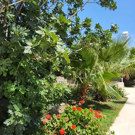 Hotel Ladonia Zemda