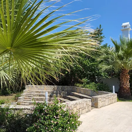 Ladonia Zemda * Gumusluk