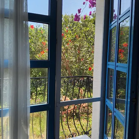 Ladonia Zemda 3* Gumusluk
