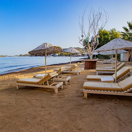 Ladonia Zemda Hotel