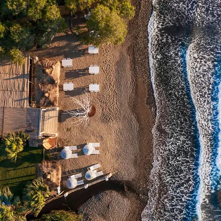 Ladonia Zemda Gumusluk