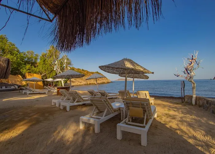Ladonia Zemda Otel Gümüşlük